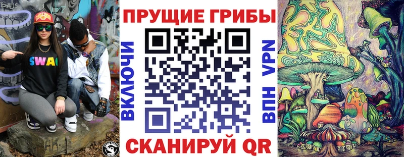 Галлюциногенные грибы MAGIC MUSHROOMS  продажа наркотиков  Данков 